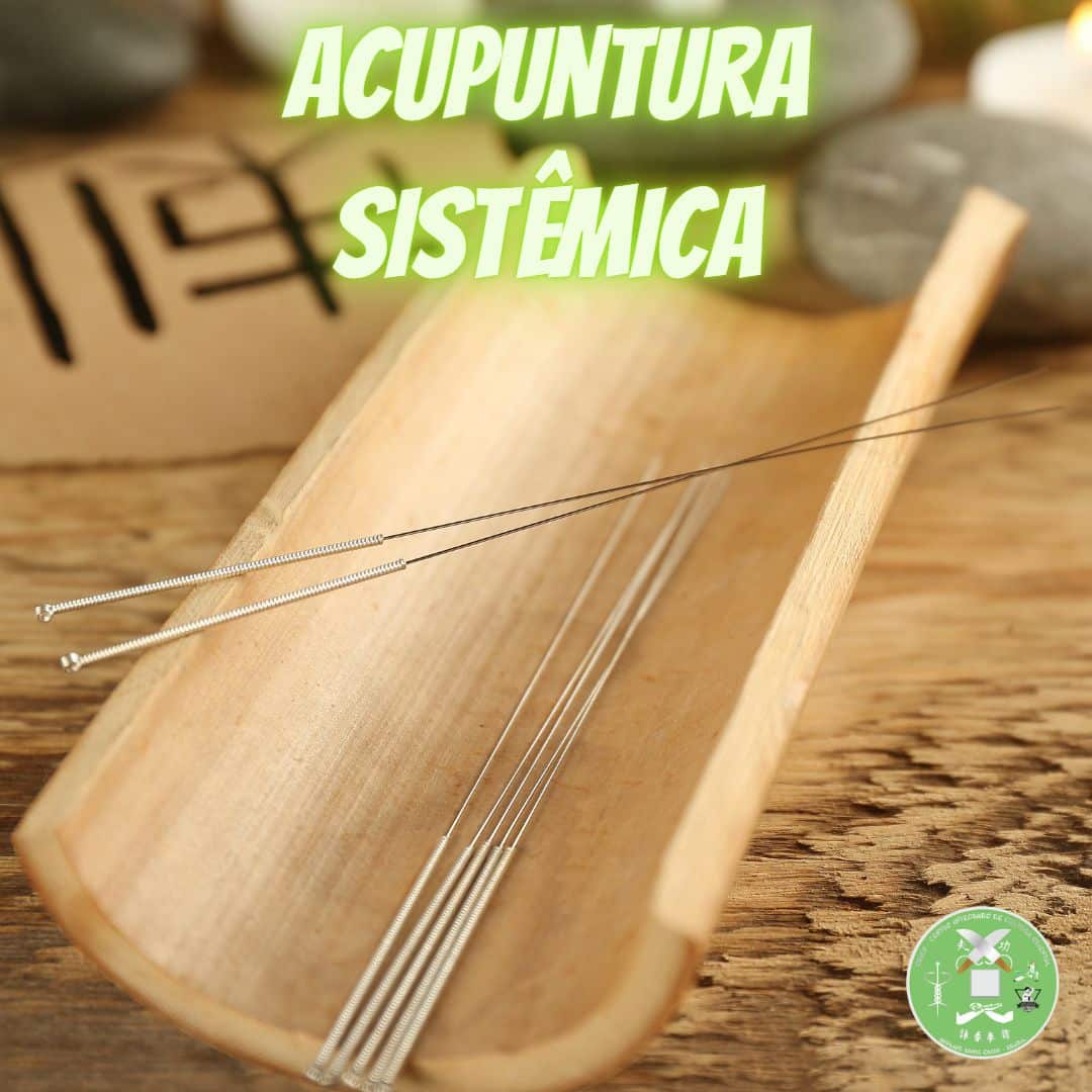 acupuntura sistemica